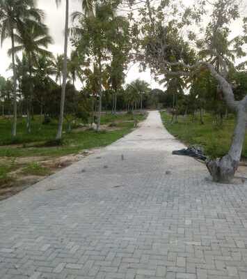 bio vila sauipe terreno lotes venda linha verde litoral lotes costa sauipe